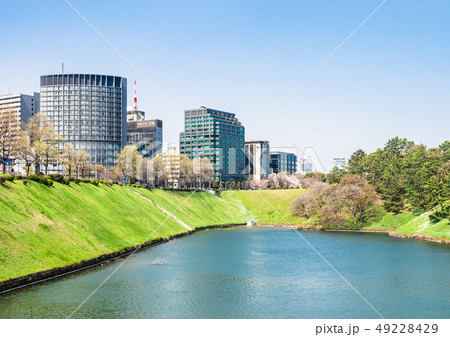 桜が咲く皇居・桜田濠 49228429