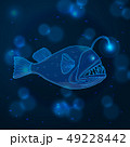 Hand drawn sketch Angler Fish, marine animals 49228442
