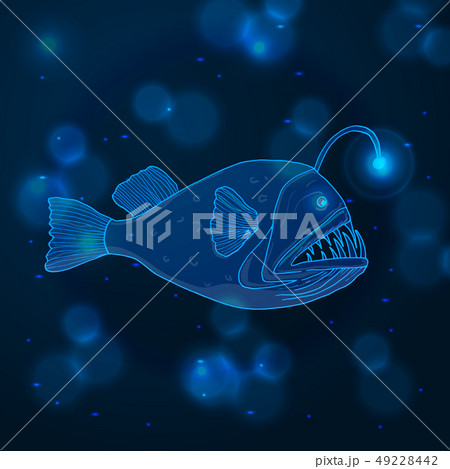 Hand drawn sketch Angler Fish, marine animals Hand drawn sketch Angler Fish, marine animals 49228442