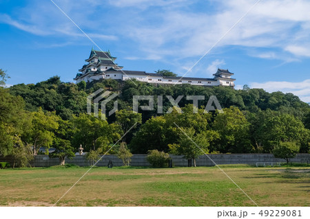 和歌山城 西ノ丸広場 49229081