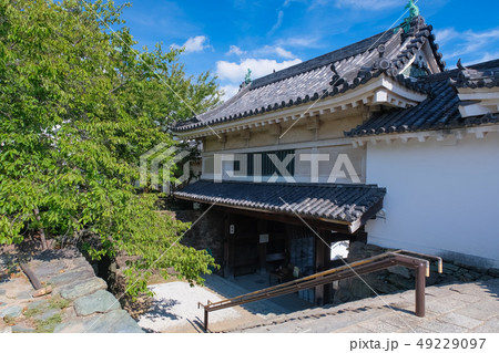 和歌山城 二の門(楠門) 49229097