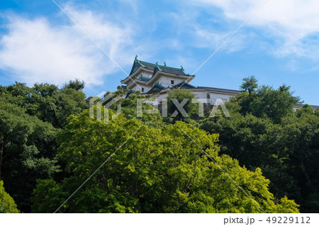 和歌山城 49229112