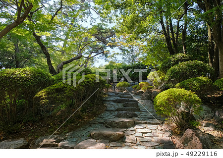 和歌山城 紅葉渓庭園 49229116