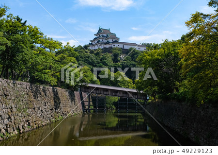 和歌山城と御橋廊下 49229123