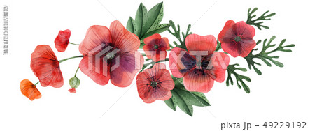 Red Poppy Gala Vignette 49229192