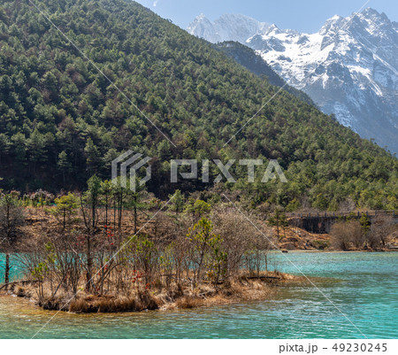 中国 チャイナ 磁器 49230245