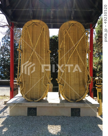 子の権現　大わらじ 49230520