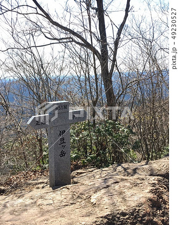 伊豆ヶ岳　山頂 49230527