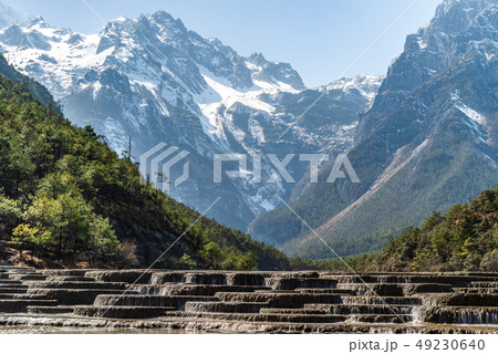 中国 チャイナ 磁器 49230640