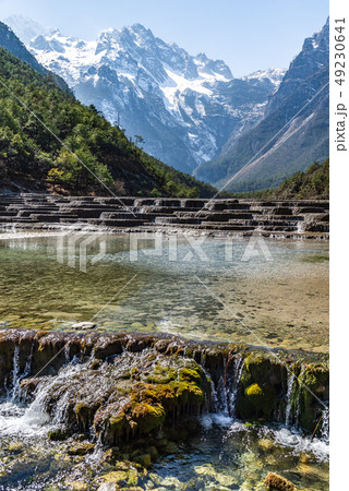 中国 チャイナ 磁器 49230641