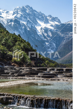 中国 チャイナ 磁器 49230642