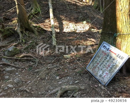 伊豆ヶ岳　登山道 49230656