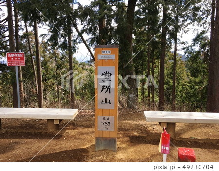 堂所山　山頂 49230704