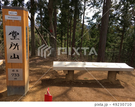 堂所山　山頂 49230710