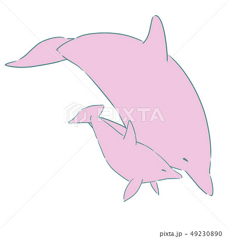イルカの親子 ピンク のイラスト素材