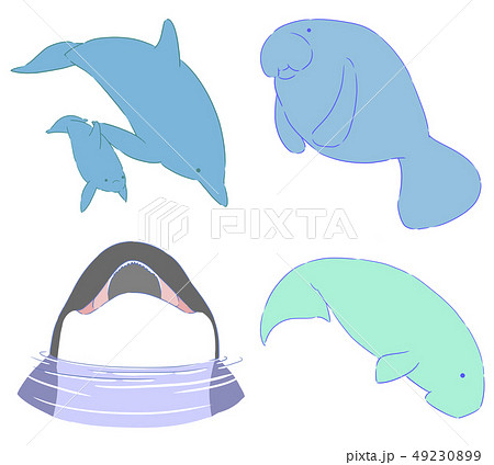 イルカ イラスト Www Aerotown Com Br