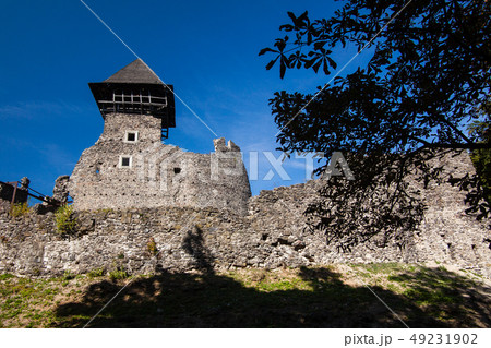 Ruins of Castle Nevytske in Transcarpathian 49231902