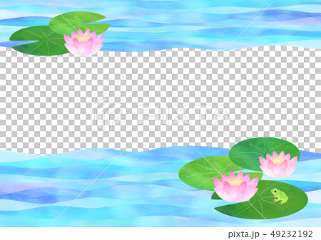 睡蓮和青蛙 睡蓮和青蛙 49232192