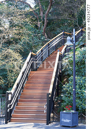 横浜　山手の風景　フランス山へ登る階段 49234777