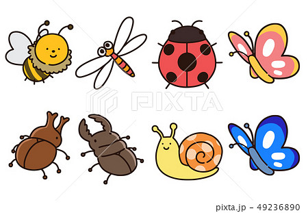 シンプルで可愛い色々な種類の虫のイラストセット 主線ありのイラスト素材 49236890 Pixta