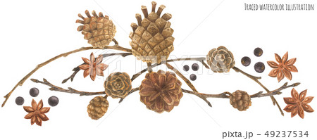 Winter Forest garland with cones and branches Winter Forest garland with cones and branches 49237534