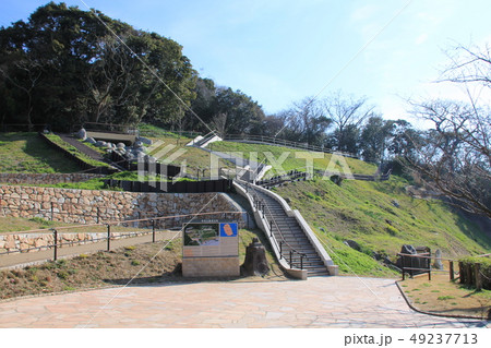 志賀島の金印公園（福岡市） 49237713