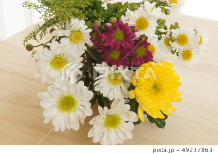 菊の花束 菊の花束 49237863