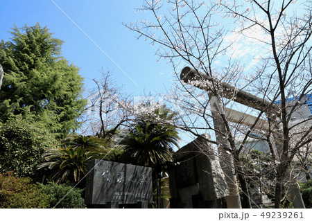 濃飛護國神社の鳥居（岐阜県） 49239261
