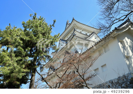 大垣城(岐阜県) 大垣城(岐阜県) 49239296