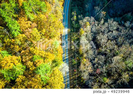 Aerial View Of Mountain Road During The Fall 49239946