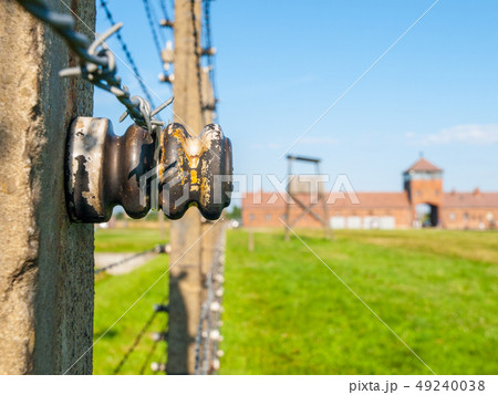 Detailed view of barb wire fence in concentration camp. Auschwitz - Birkenau, Oswiecim - Brzezinka Detailed view of barb wire fence in concentration camp. Auschwitz - Birkenau, Oswiecim - Brzezinka 49240038