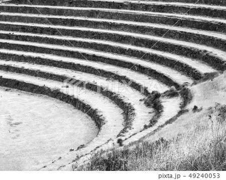 Terraced fields in Pisac 49240053