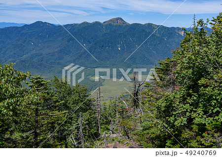 男体山から見た奥白根山 49240769