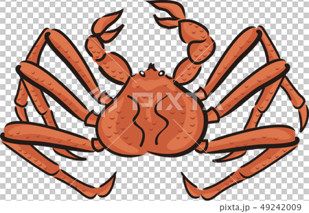 King crab King crab 49242009