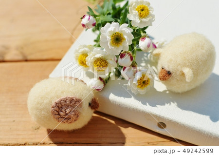 花かんざしとキャンバスとひつじ　　 49242599