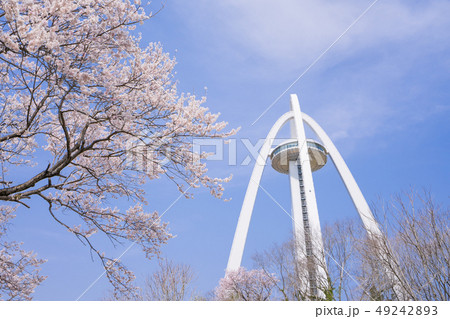 138タワーパークと桜 138タワーパークと桜 49242893