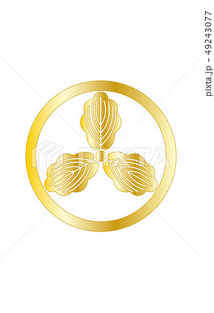 武将家紋金グラデーション山内一豊 49243077