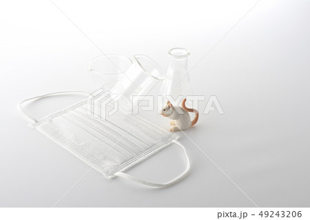 臨床試験 49243206