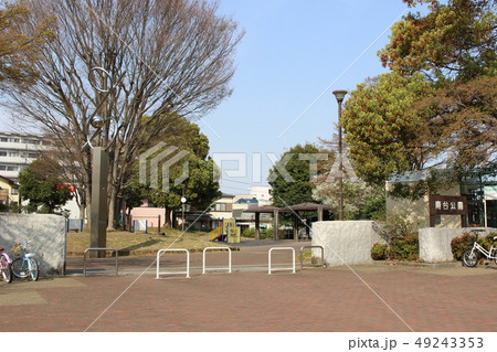 瀬谷区南台公園 49243353