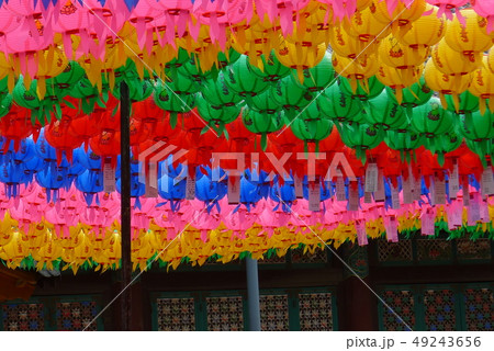 提灯 チョパイル 節 49243656