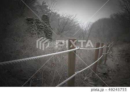 道 山歩き 49243755