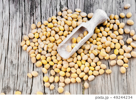 soybean on board 49244234