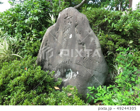 飯能市の観音寺にある松尾芭蕉の句碑 飯能市の観音寺にある松尾芭蕉の句碑 49244305