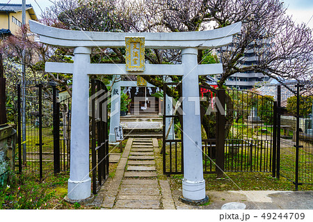 街風景 長崎丸山町 梅園身代り天満宮 【長崎市】 街風景 長崎丸山町 梅園身代り天満宮 【長崎市】 49244709