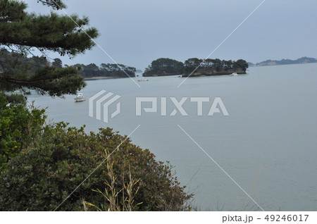 松島の風景 松島の風景 49246017