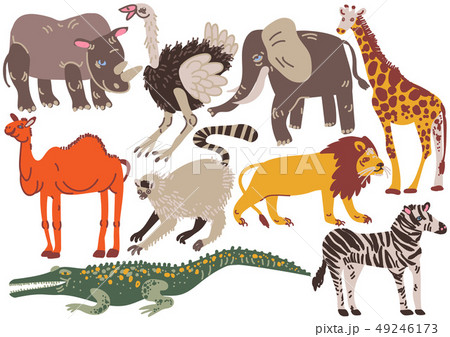 African Animals Set, Rhinoceros, Ostrich, Elephant, Ggiraffe, Camel, Lion, Crocodile, Zebra, Lemur 49246173