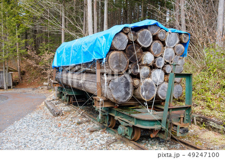 写真素材:木材運搬車両 赤沢自然休養林 森林鉄道 木曽 上松 写真素材:木材運搬車両 赤沢自然休養林 森林鉄道 木曽 上松 49247100