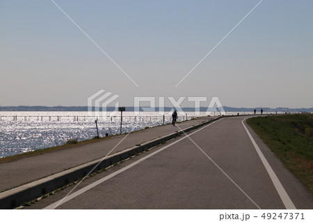 つくば霞ヶ浦りんりんロード、かすみがうら市風景 49247371