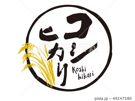コシヒカリ 筆文字のイラスト素材