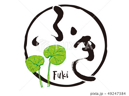 ふき　筆文字 49247384